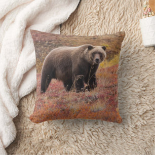 Coussin Ours Grizzli Se Déplace À Travers Les Couleurs D'A