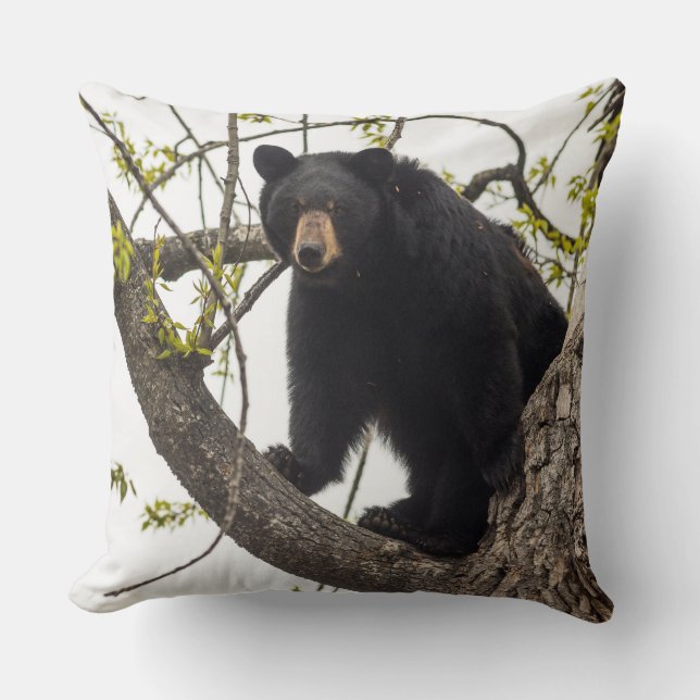 Coussin Ours noir Escalade (Recto)