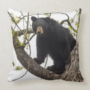 Coussin Ours noir Escalade