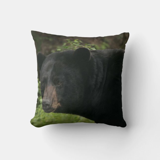COUSSIN OURS NOIRS (Recto)