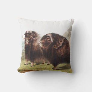 Coussin Ox musqué (Ovibos moschatus)