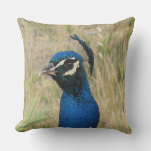 Coussin Pacock