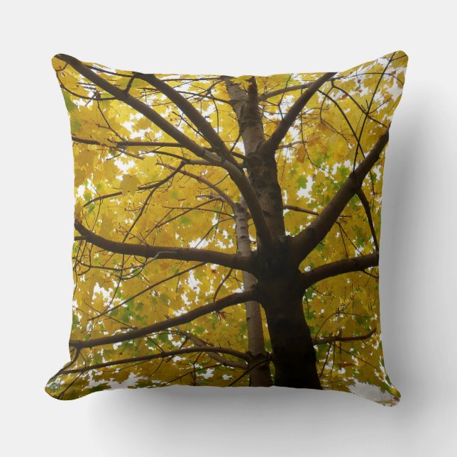 Coussin Paire d'érables jaunes Nature d'automne (Recto)