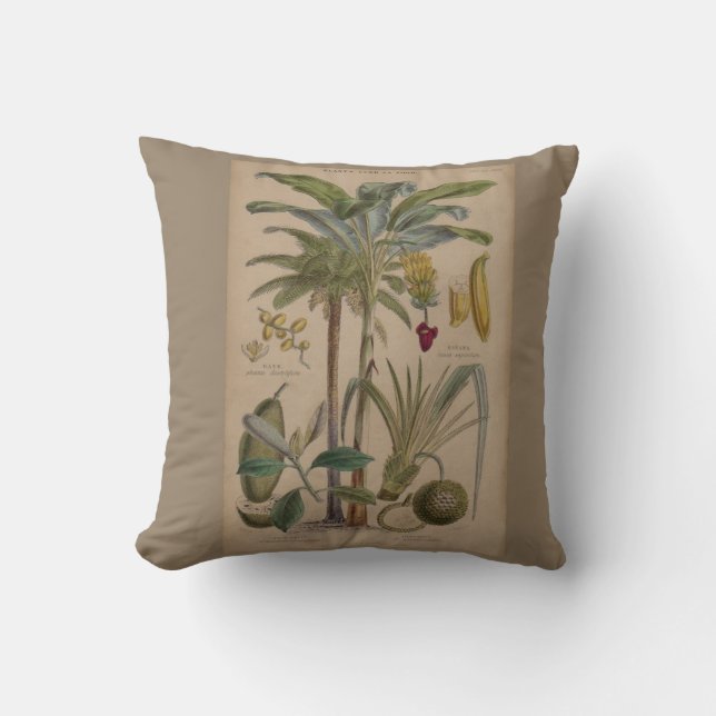 Coussin Palm Antique Fruit Tropical Art Botanique (Recto)