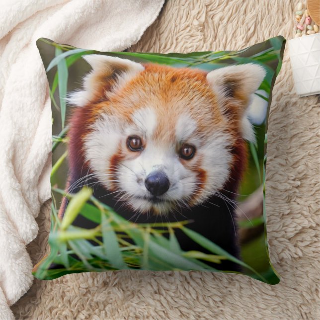 Coussin Panda rouge (Couverture)