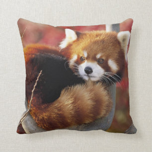 Coussin Panda rouge dans un carreau d'arbre