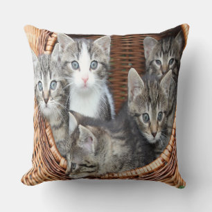 Coussin Panier rempli de chatons