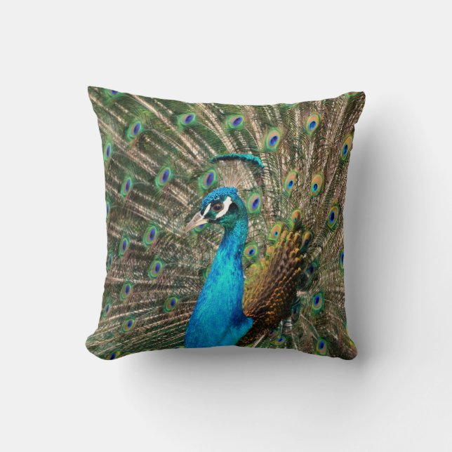 Coussin Paon (Recto)