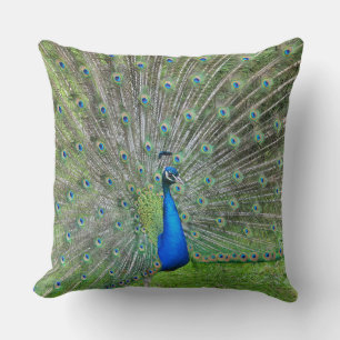 Coussin Paon avec la queue ouverte