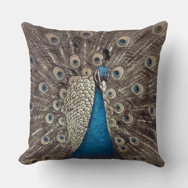 Coussin Paon Bleu Antique (Recto)