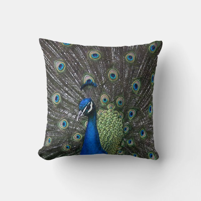 Coussin Paon Peint (Recto)