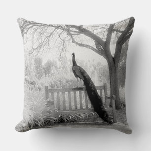 Coussin Paon sur un banc