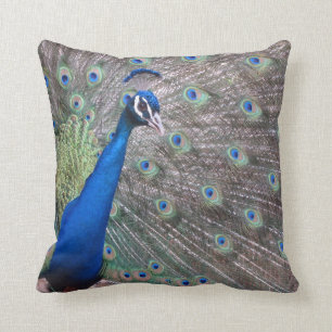 Coussin Paon vintage renversant