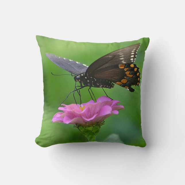 Coussin papillon (Recto)