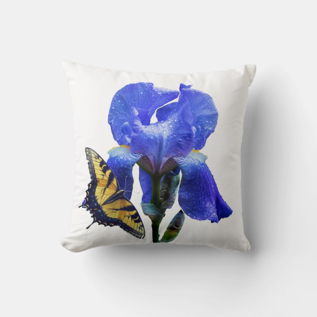 Coussin papillon à queue blanche (Recto)