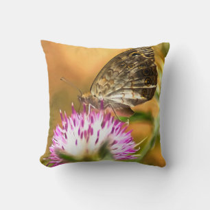 Coussin Papillon Brown Mur Lasiommata megera Peinture
