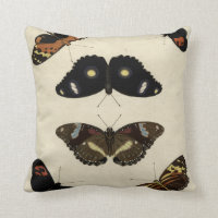 Papillon coloré Medley sur Arrière - plan de crème