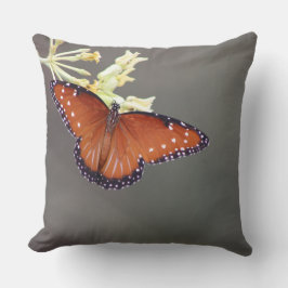 Coussin Papillon de la reine sur Milkweed du désert