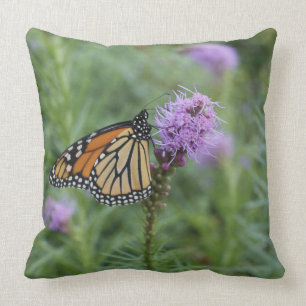 Coussin Papillon de monarque