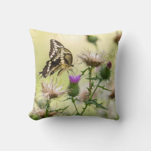 Coussin Papillon géant de machaon