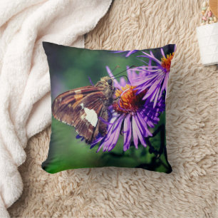 Coussin Papillon Lady Peint Sur Fleur Aster Sauvage
