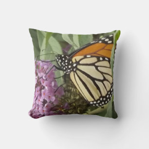 Coussin Papillon monarque