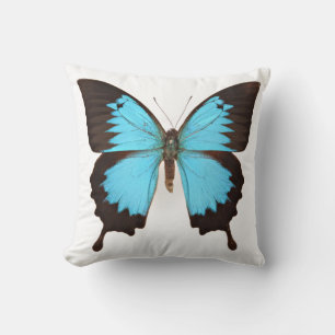 Coussin Papillon Ulysse