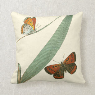 Coussin Papillons colorés flottant autour d'une feuille