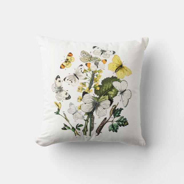 Coussin Papillons d'Europe vintage (Recto)