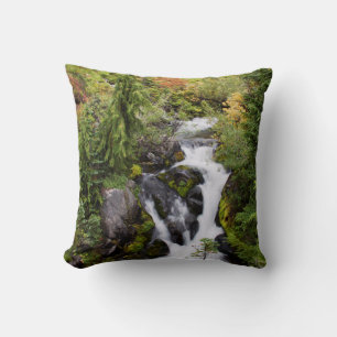 Coussin Parc national du mont Rainier, ruisseau d'automne