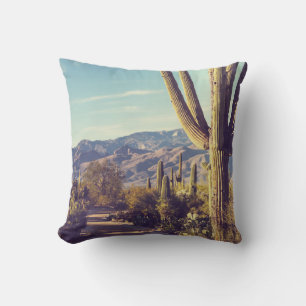 Coussin Parc national du Saguaro, représentation pittoresq