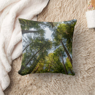 Coussin Parcs national et d'État de Redwood, Californie