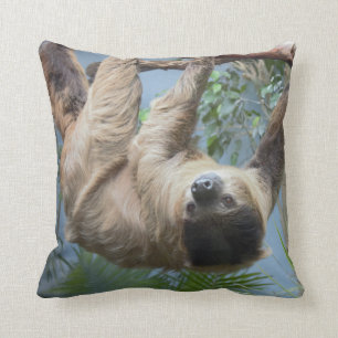 Coussin Paresse