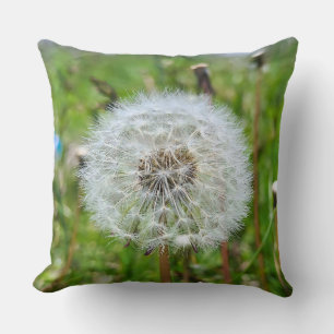 Coussin Parfaite dent-de-lion – Photographie botanique mac