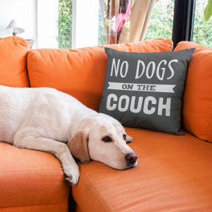 Coussin Pas de chiens sur le canapé Humoristique