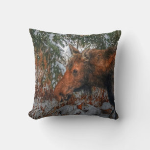 Coussin Pâturage d'orignaux canadiens sauvages en forêt d'