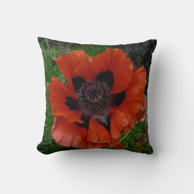 Coussin Pavot d'Orient   (Recto)