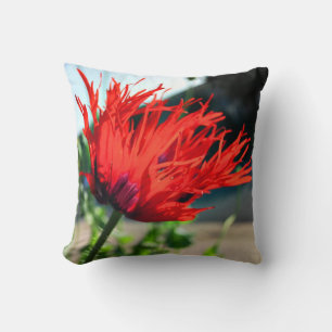 Coussin Pavot Fleur Rouge Clair