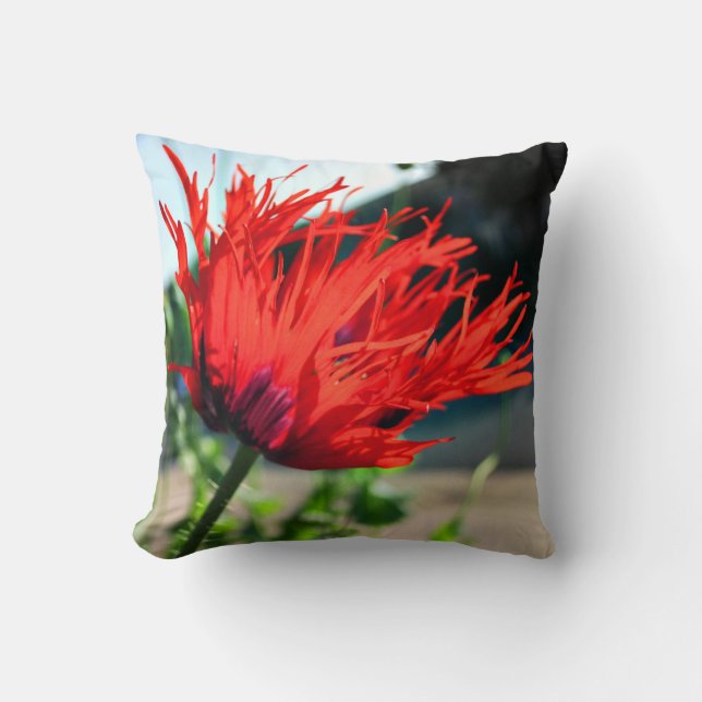 Coussin Pavot Fleur Rouge Clair (Recto)