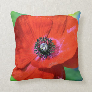 Coussin Pavot rouge dans la photographie de soleil