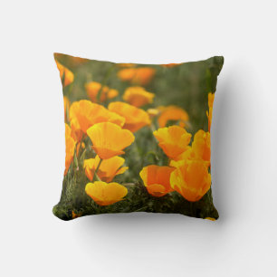 Coussin Pavots de Californie, Parc d'État Montana de Oro