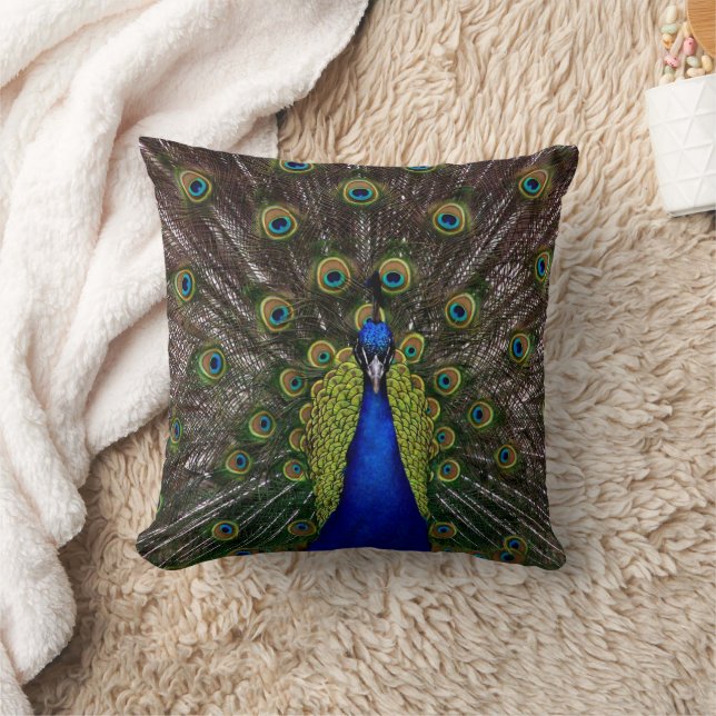 Coussin Peacock (Couverture)