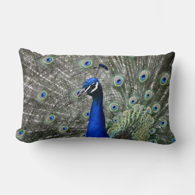 Coussin Peacock (Recto)