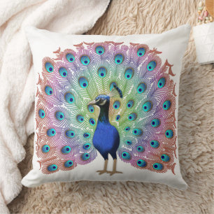 Coussin Peacock coloré