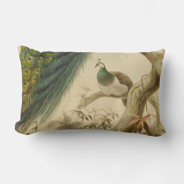 Coussin Peacock Lumbar vintage (Recto)