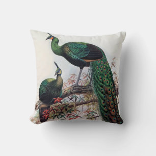 Coussin Peacock, vert pavo paon muticus 1872 ...