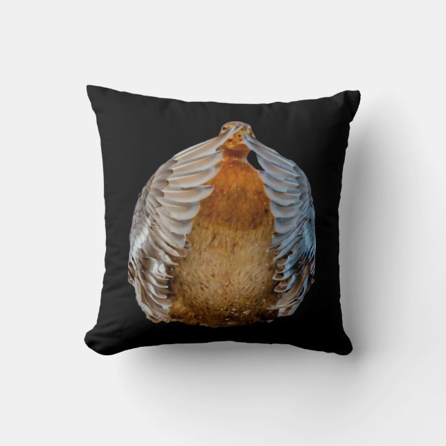 Coussin Peekaboo Duck (Recto)