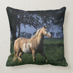 Coussin Peignez le cheval tenant 2