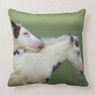 Coussin Peignez le jeu de poulains