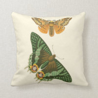 Peinture à papillon légèrement frontière